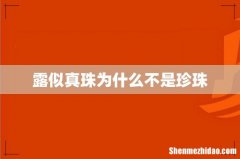 露似真珠为什么不是珍珠