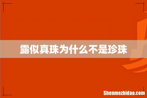 露似真珠为什么不是珍珠