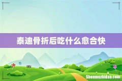 泰迪骨折后吃什么愈合快