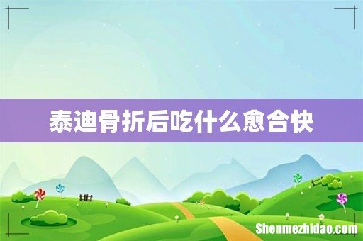 泰迪骨折后吃什么愈合快