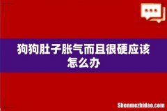 狗狗肚子胀气而且很硬应该怎么办