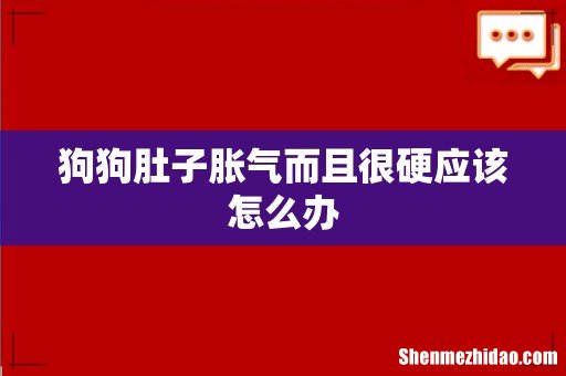 狗狗肚子胀气而且很硬应该怎么办
