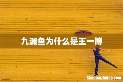 九漏鱼为什么是王一博