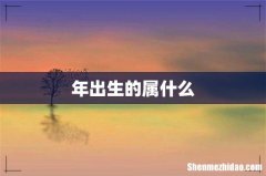 年出生的属什么
