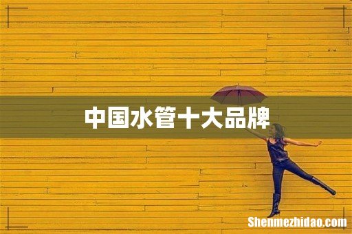 中国水管十大品牌