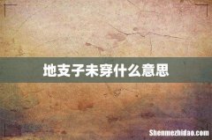 地支子未穿什么意思