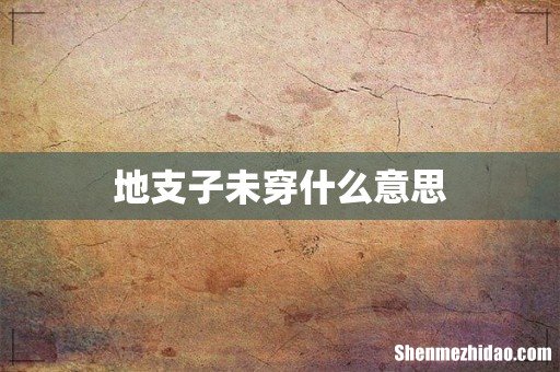 地支子未穿什么意思
