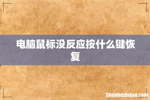 电脑鼠标没反应按什么键恢复