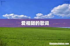爱相随的歌词