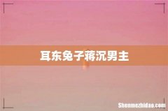 耳东兔子蒋沉男主