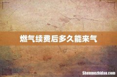 燃气续费后多久能来气
