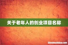 关于老年人的创业项目名称