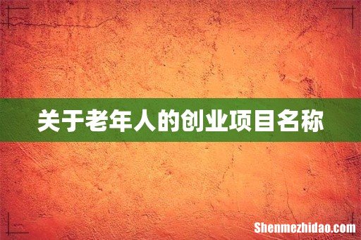 关于老年人的创业项目名称
