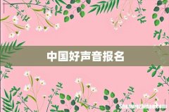 中国好声音报名