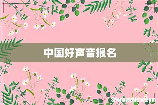 中国好声音报名