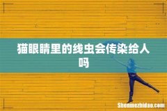 猫眼睛里的线虫会传染给人吗