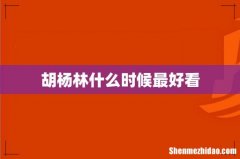 胡杨林什么时候最好看