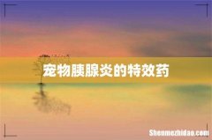 宠物胰腺炎的特效药