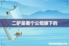 二驴是哪个公司旗下的