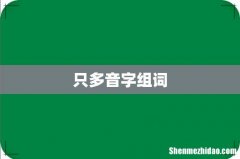 只多音字组词