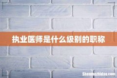 执业医师是什么级别的职称