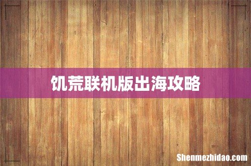 饥荒联机版出海攻略