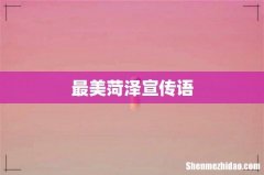最美菏泽宣传语