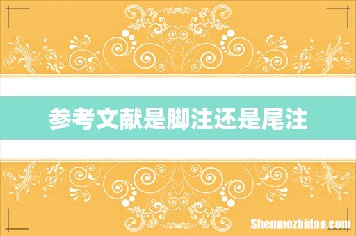 参考文献是脚注还是尾注