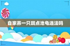 自家养一只斑点池龟违法吗