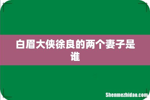 白眉大侠徐良的两个妻子是谁