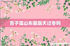 百子莲山东能露天过冬吗