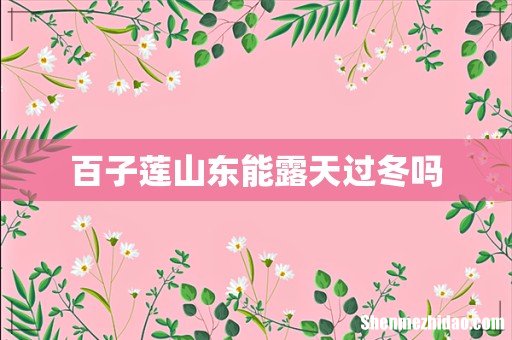 百子莲山东能露天过冬吗