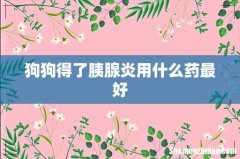 狗狗得了胰腺炎用什么药最好