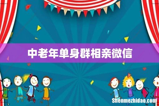 中老年单身群相亲微信