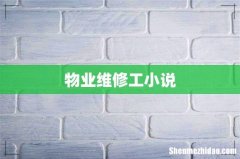 物业维修工小说