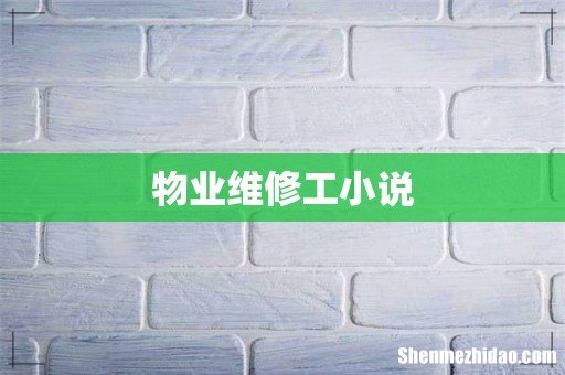 物业维修工小说