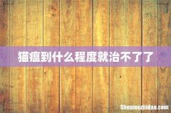 猫瘟到什么程度就治不了了