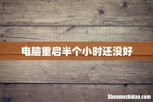电脑重启半个小时还没好