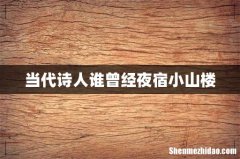 当代诗人谁曾经夜宿小山楼