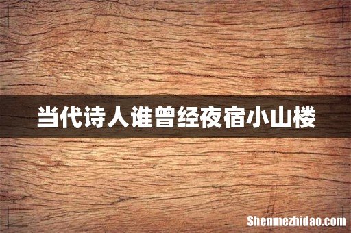 当代诗人谁曾经夜宿小山楼