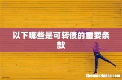 以下哪些是可转债的重要条款