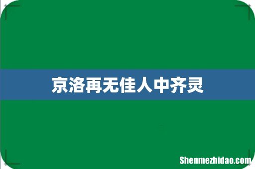 京洛再无佳人中齐灵
