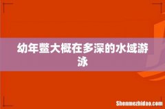 幼年鳖大概在多深的水域游泳