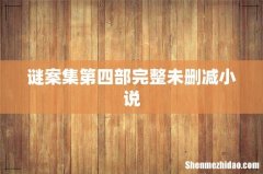 谜案集第四部完整未删减小说