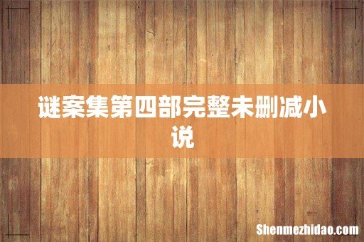 谜案集第四部完整未删减小说
