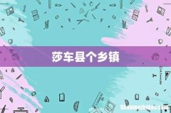 莎车县个乡镇
