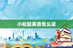 小松鼠英语怎么读