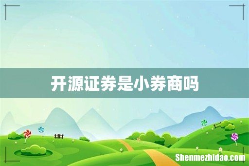 开源证券是小券商吗