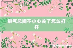 燃气总阀不小心关了怎么打开
