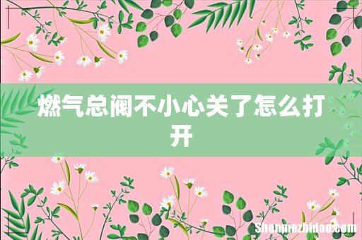 燃气总阀不小心关了怎么打开